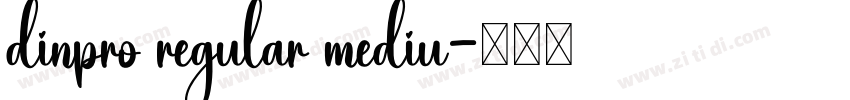 dinpro regular mediu字体转换